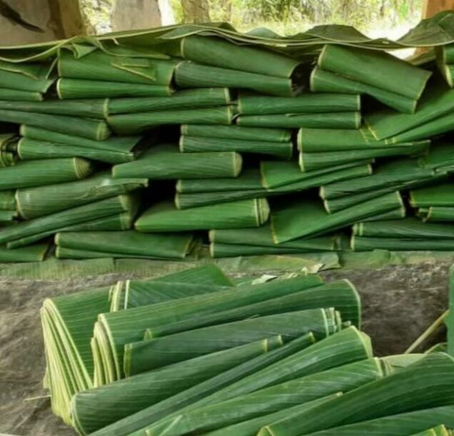 Banana Leaf