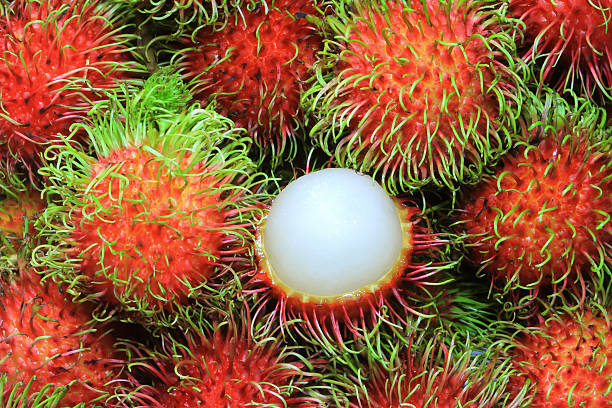 Rambutan